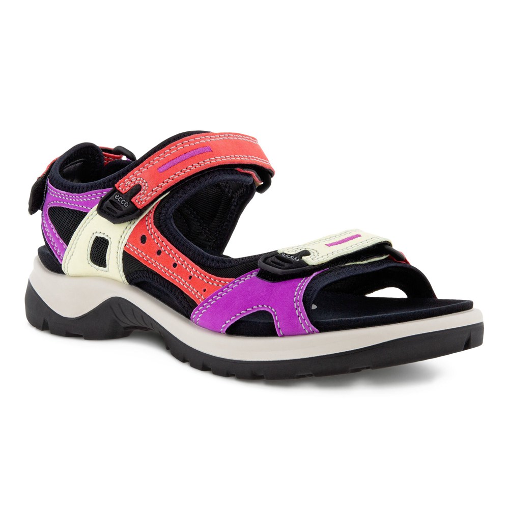 Sandalias Mujer - ECCO Offroad Flat - Multicolor - RNH739086